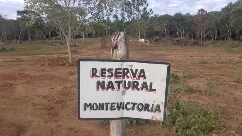 desmonte y privatización de territorios ancestrales